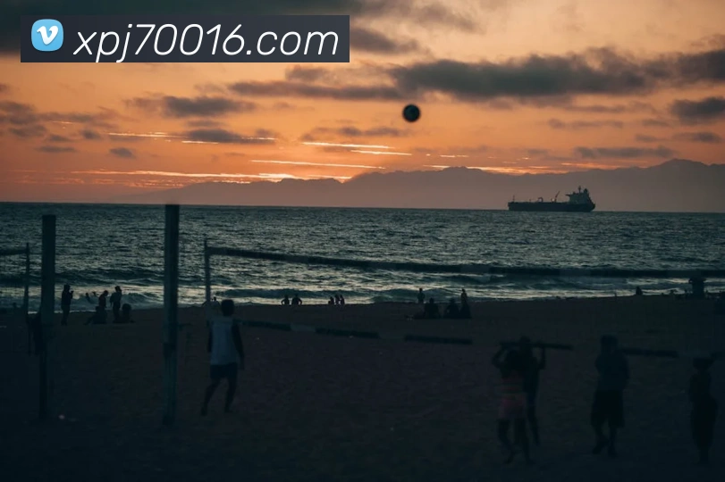 新葡京娱乐网站服务体系